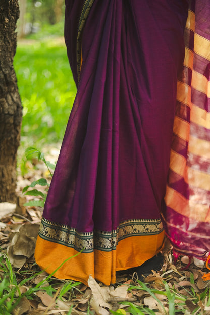 purple narayanpet handloom cotton saree drape detail